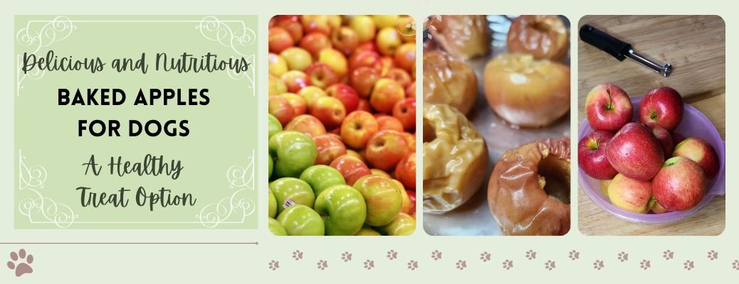 Delicious and Nutritious: Baked Apples for Dogs – A Healthy Treat Option