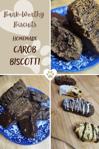 Homemade carob biscotti dog biscuits treats made with dog safe flour coconut oil carob powder and carob chips decorated with melted carob chips or melted yogurt chips