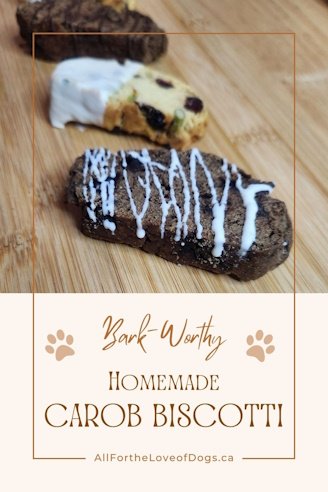 Homemade carob biscotti dog biscuits treats made with dog safe flour coconut oil carob powder and carob chips decorated with melted carob chips or melted yogurt chips