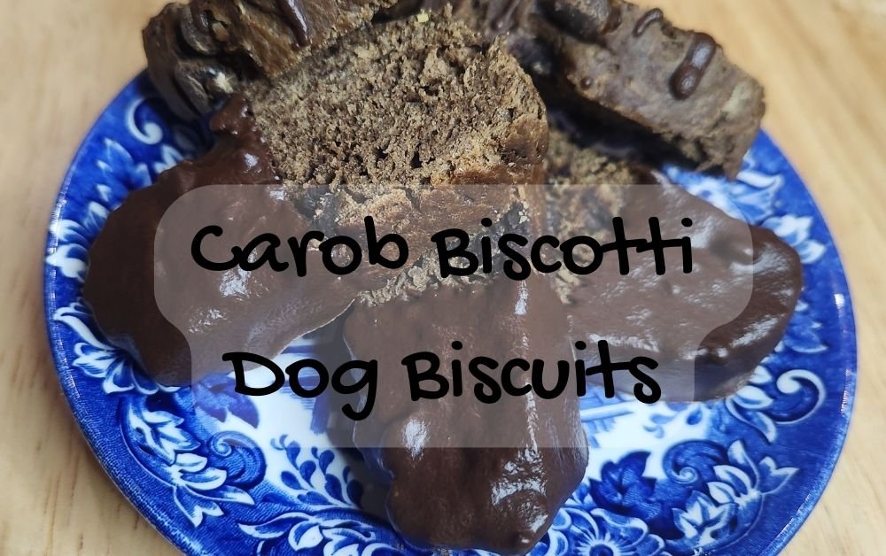 Bark-Worthy Biscuits: Homemade Carob Biscotti for Your Dog Featured Image