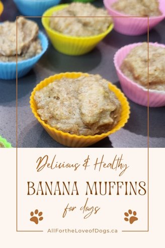 banana muffins for dogs. banana pupcakes for dogs