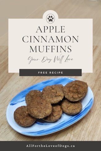 dog-safe Apple Cinnamon Muffins