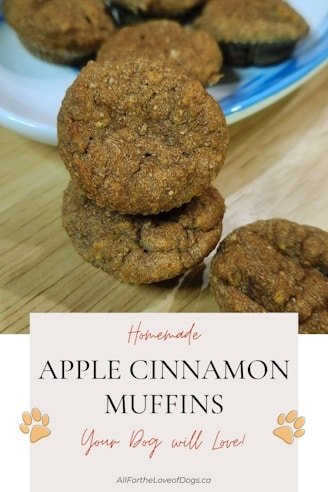 dog safe Apple Cinnamon Muffins