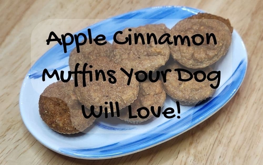 Apple Cinnamon Muffins for dogs