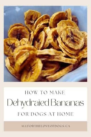 How to Make Dehydrated Bananas for Dogs at Home