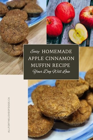 Easy Homemade Apple Cinnamon Muffin Recipe Your Dog Will Love