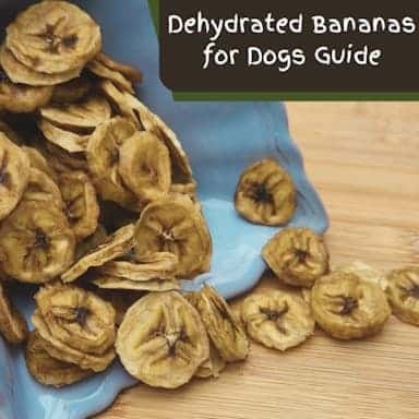 How to Make Dehydrated Bananas for Dogs at Home