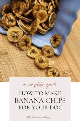 How to Make Dehydrated Bananas for Dogs at Home