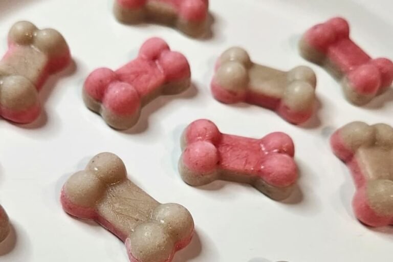 Strawberry Banana Frozen Dog Treats