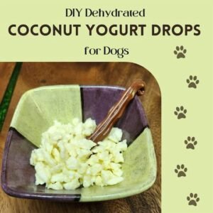 DIY Dehydrated yogurt treats for dogs in a bowl