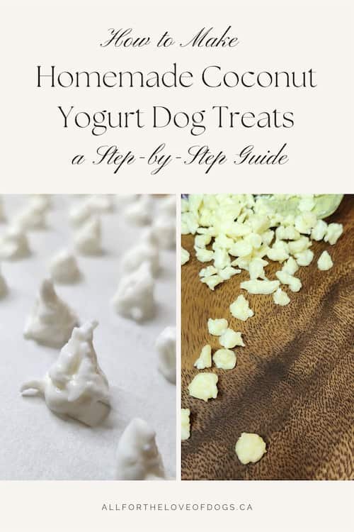 Homemade yogurt coconut drops for dogs