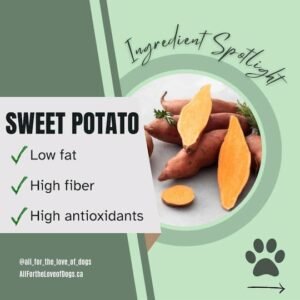 Picture of Oven-Roasted Sweet Potatoes for Dogs - All For the Love of Dogs